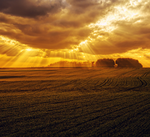 Cloudy Morning Skies
