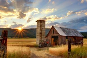 farmland sunrise scene